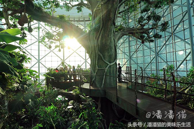 迪拜旅游是落地签吗,迪拜自由行免费签证