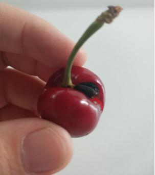 捕获迷之小屁屁一对,尝尝味道还不错