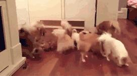 轻松一刻应该怎么做,轻松一刻到底重点在哪里