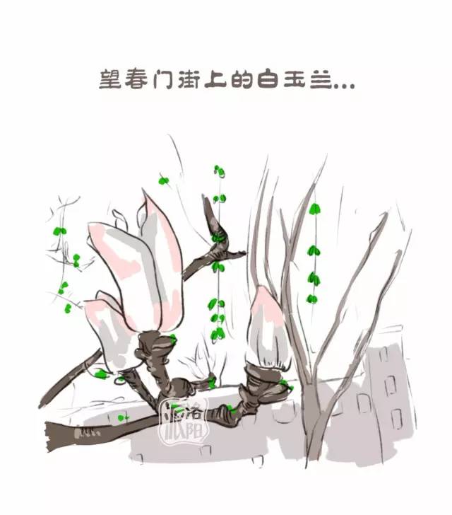 在洛阳生活中的感受,洛阳游玩真实感受