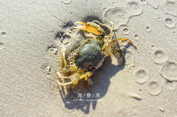 玩转巽寮正当时！¥298住海景房/冰雪乐园/巽秀表演……