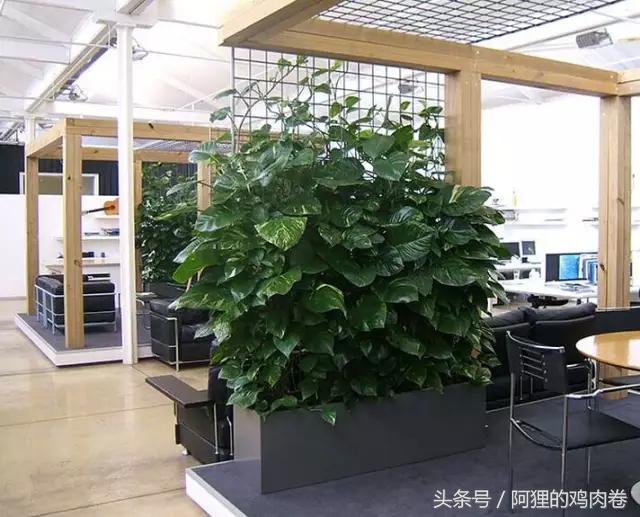 公装与家装的设计区别在哪,家装公装工装三者到底有什么区别