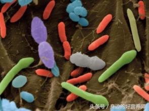 感觉胃酸多是什么原因,感觉胃酸多吃什么可以缓解