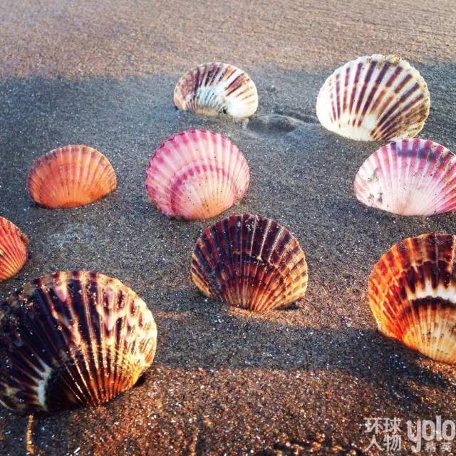 臻品生活｜沙漠与海的吻痕：翡翠岛