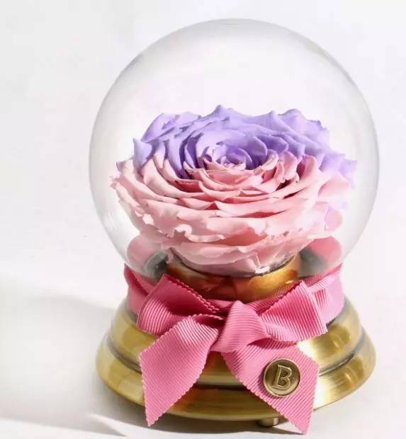 欢乐颂安迪曲筱绡房子多少钱,欢乐颂2大结局樊胜美买房