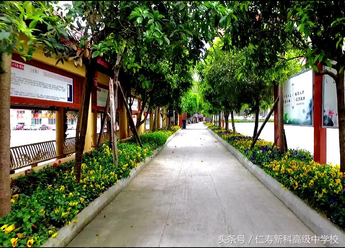 仁寿新科高级中学官网,仁寿新科高中简介