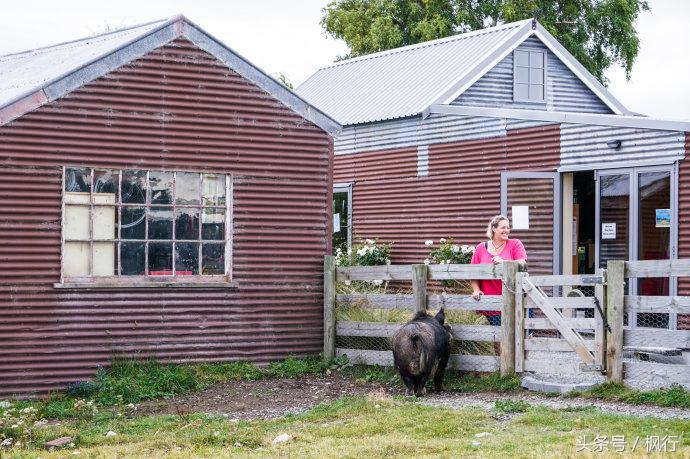 新西兰星空小镇最全攻略,新西兰tekapo旅游攻略