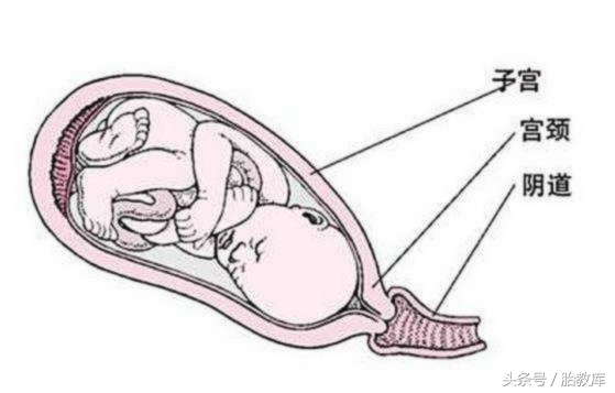 宫口开到十指到生需要多长时间,宫口开到十指是什么体验