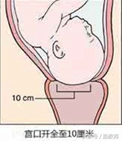 宫口开到十指到生需要多长时间,宫口开到十指是什么体验