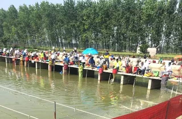 沁阳垂钓比赛,行营钓具杯北京第六届钓鱼大奖赛