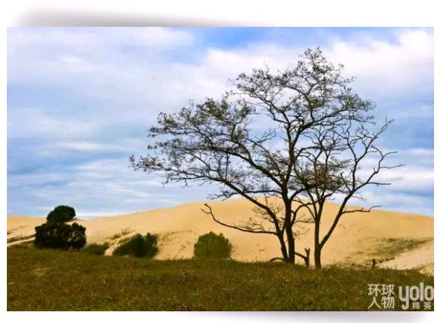 臻品生活｜沙漠与海的吻痕：翡翠岛