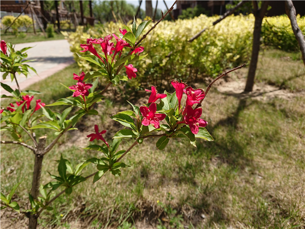 索尼黑科技xperia系列,黑科技满满产品