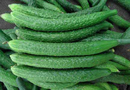 白癜风常见的5种外用药物,治疗白癜风最好的12副药