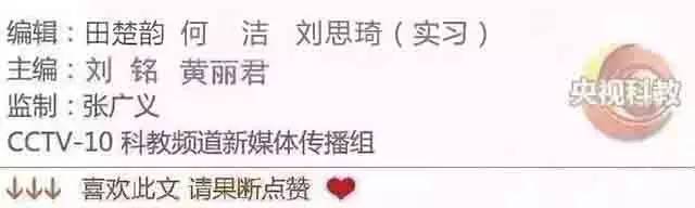 我爱发明｜“懒人”的快乐滑行