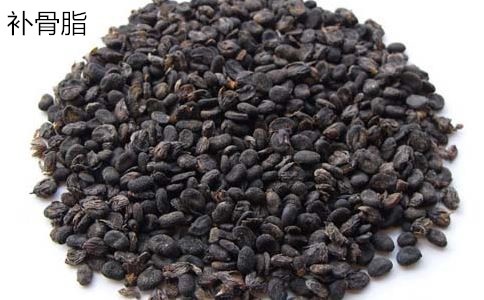 肾虚和腰膝酸软,腰膝酸软肾虚调理