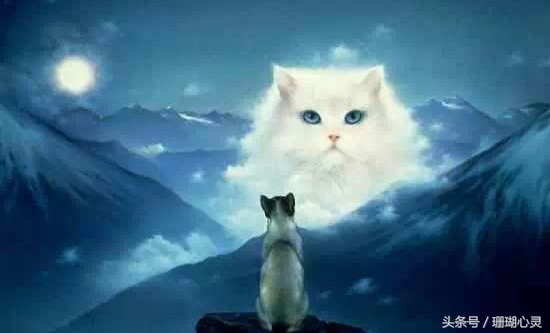 心理学如何解释梦话,心理学教你正确认识梦