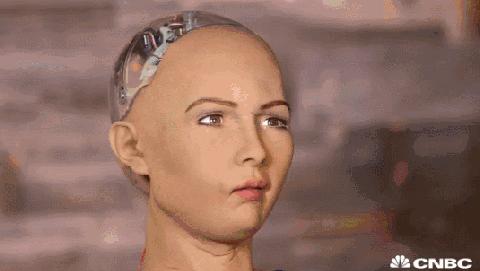 loomo机器人,loomo机器人评测