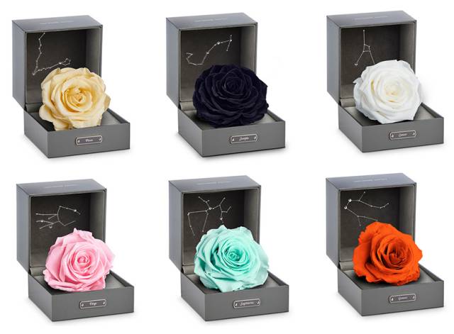 欢乐颂关关同款蝴蝶包,欢乐颂关关的包包