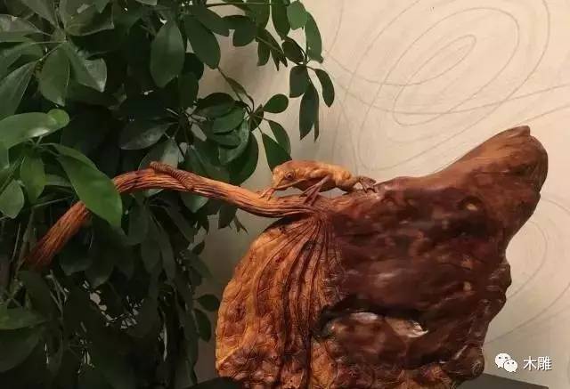 刚到手崖柏就两半了,崖柏会不会开裂