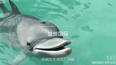 西游记女儿国变身特效,西游记女儿国特效