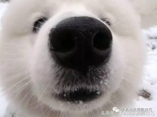 五官有硬伤的人怎么拍写真,长相一般般怎么拍照自拍