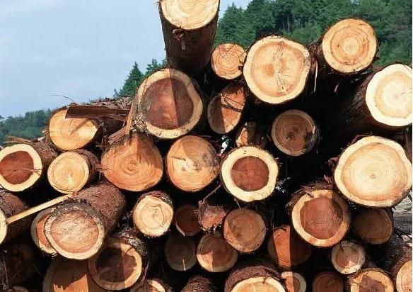 1000元能买到真正的沉香吗,1000元能买到真的沉香手串吗