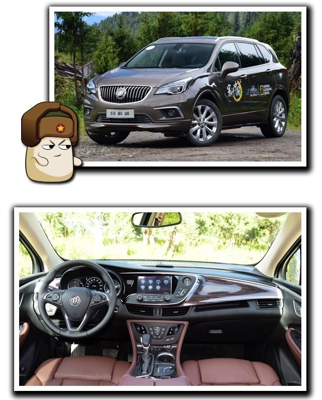 没有外资的国产汽车品牌,madeinchina是什么牌子的车