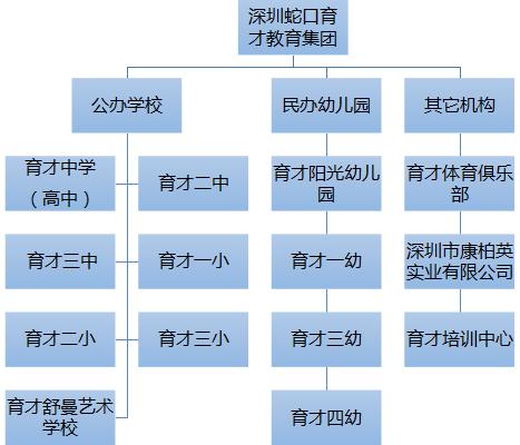 深圳十大民办教育集团排名,深圳十大教育机构排名前十