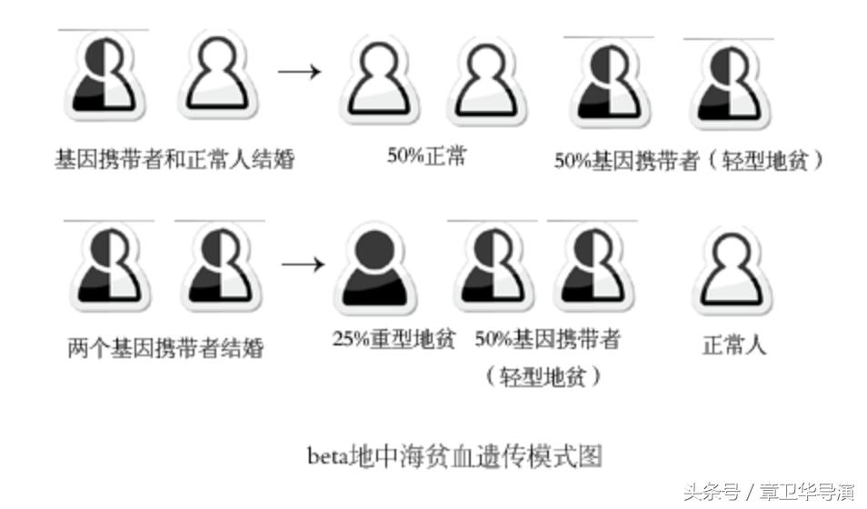 准妈妈看过来拒绝地贫从孕检产检开始务必重视