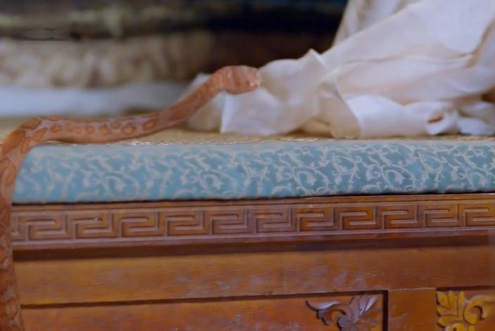 楚乔传宇文玥救了雪儿,楚乔传宇文玥牺牲楚乔后悔了