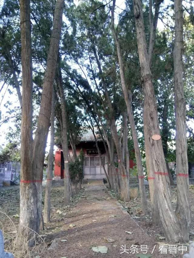 山西祁县一中学校简介,祁县的中学有哪些