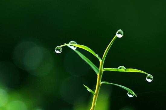 姝ｈ兘閲忛闆ㄤ箣鍚庢湁褰╄櫣,鑳介噺缇庢枃