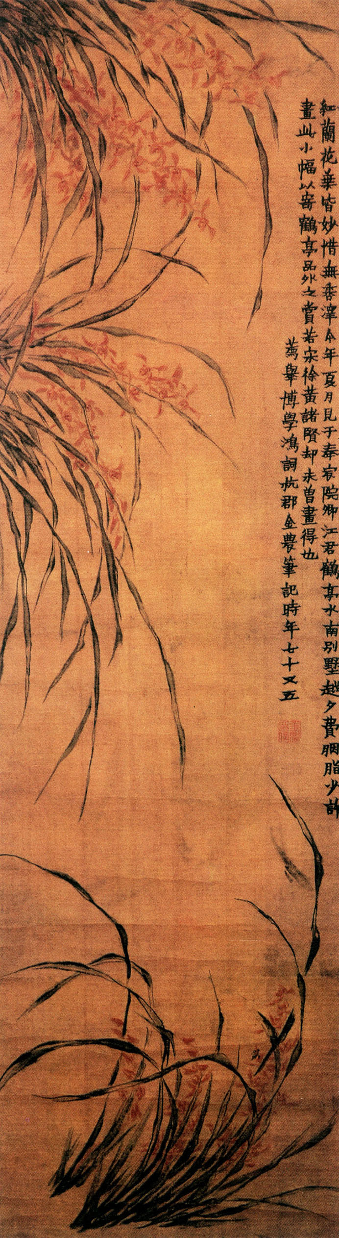 有关梅兰竹菊的中国国画作品,国画梅兰竹菊