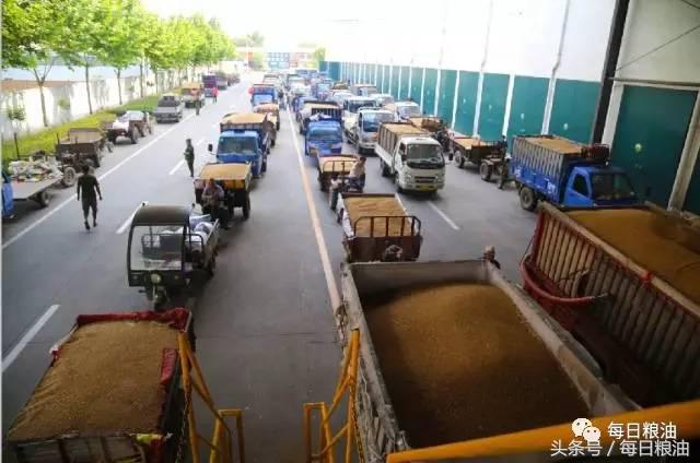 金沙河挂面是面粉起家吗,金沙河鸡蛋挂面纯小麦