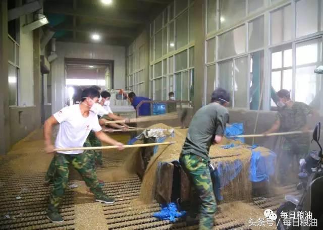 金沙河挂面是面粉起家吗,金沙河鸡蛋挂面纯小麦