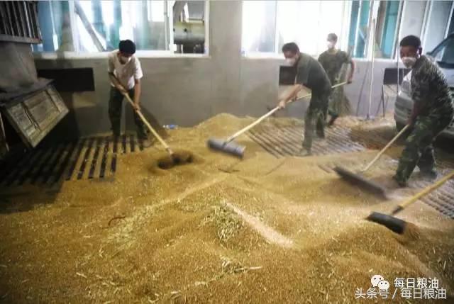 金沙河挂面是面粉起家吗,金沙河鸡蛋挂面纯小麦