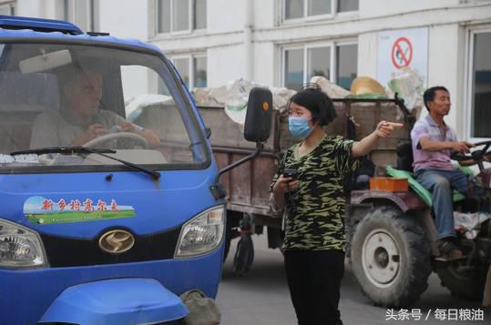 金沙河挂面是面粉起家吗,金沙河鸡蛋挂面纯小麦
