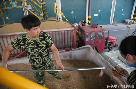 金沙河挂面是面粉起家吗,金沙河鸡蛋挂面纯小麦