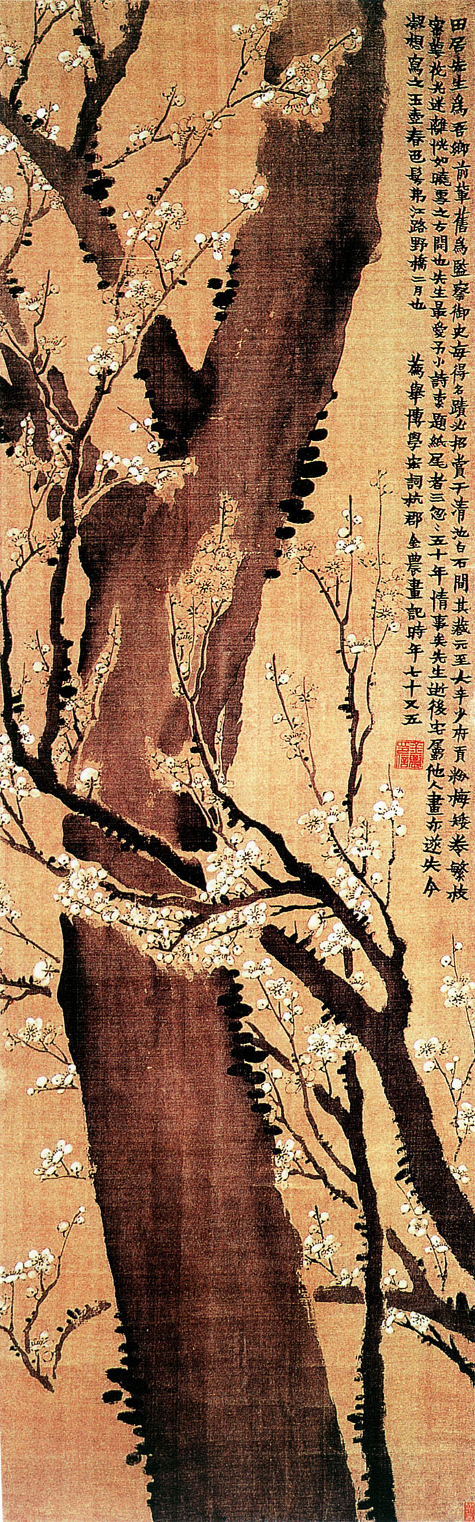 有关梅兰竹菊的中国国画作品,国画梅兰竹菊