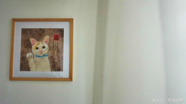 城食|至纯至美在觅兔,洗净铅华的纯色世界