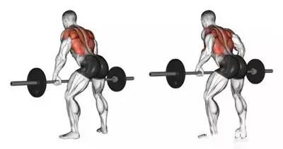 不练背容易驼背,驼背背部肉很厚应该训练肩还是背