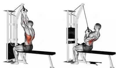 不练背容易驼背,驼背背部肉很厚应该训练肩还是背