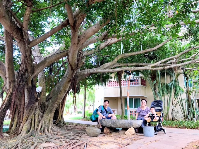 带着二宝出去走走,一拖二带娃三亚旅游攻略