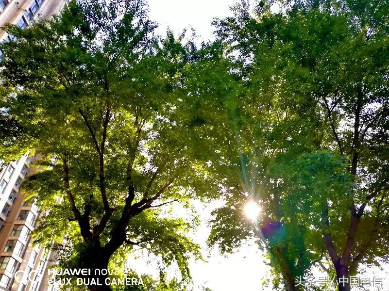 划重点一图读懂,华为nova2用一天会是什么样