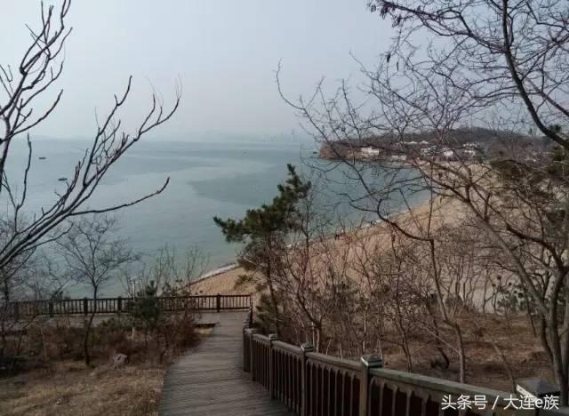 大连沙河口西岗中山哪个区最大,大连市区中山西岗沙河口