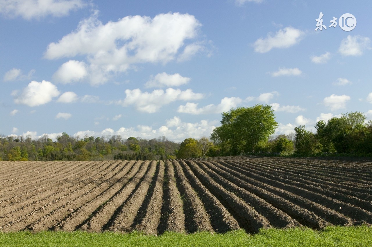 乡村生活的古诗村居,借景抒情田园古诗