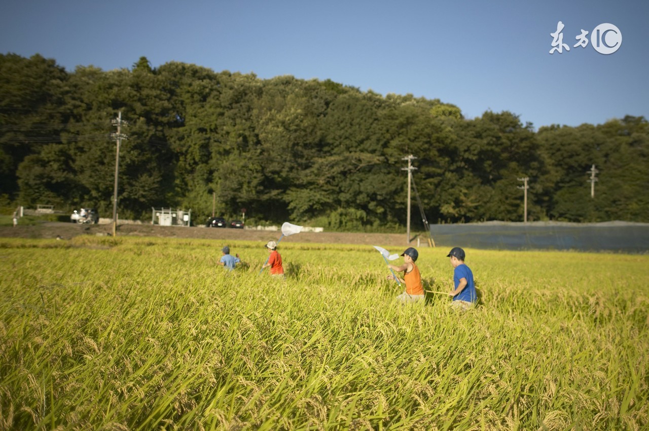 乡村生活的古诗村居,借景抒情田园古诗