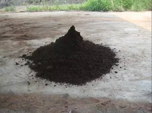 木地板生虫弄得皮肤痒,木地板长虫是不是质量问题