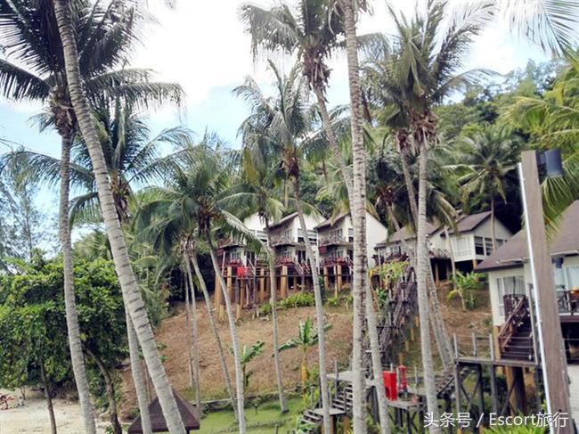 暑期带你去旅游,暑假带你旅游