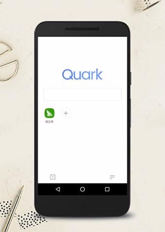 夸克浏览器更多历史记录,夸克浏览器极简主义